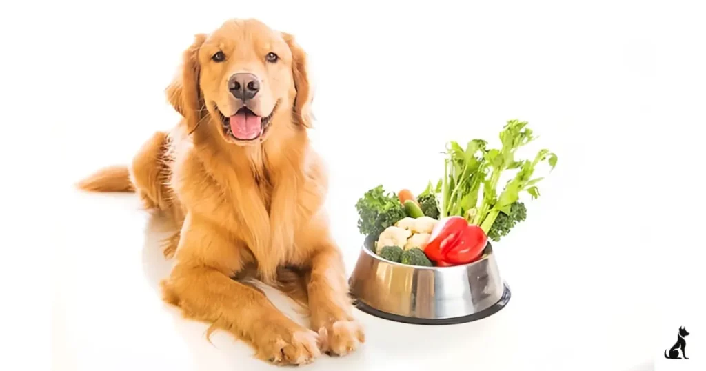 How long can dogs go without food