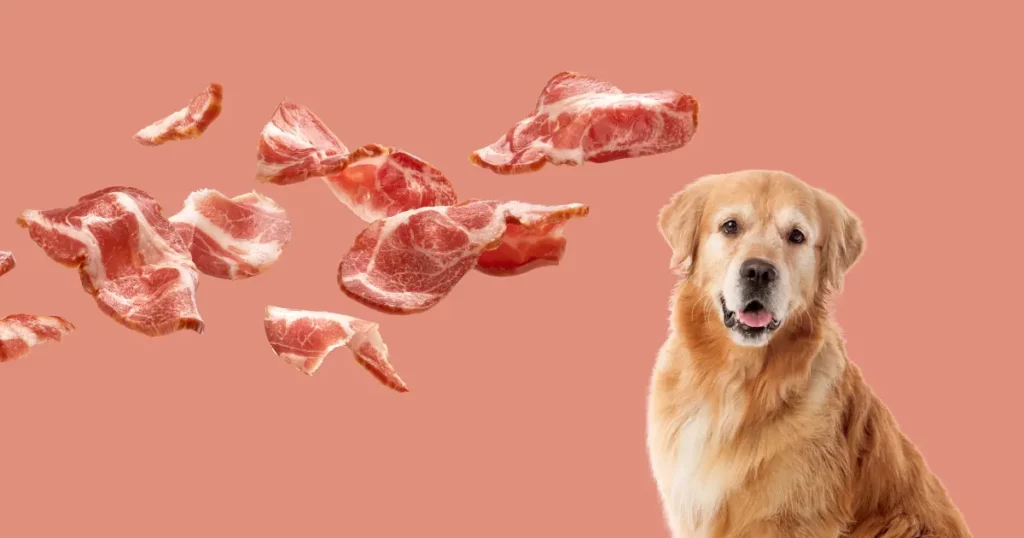 Can Dogs Eat Raw Bacon