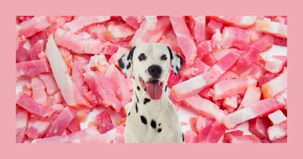 Can Dogs Eat Raw Bacon