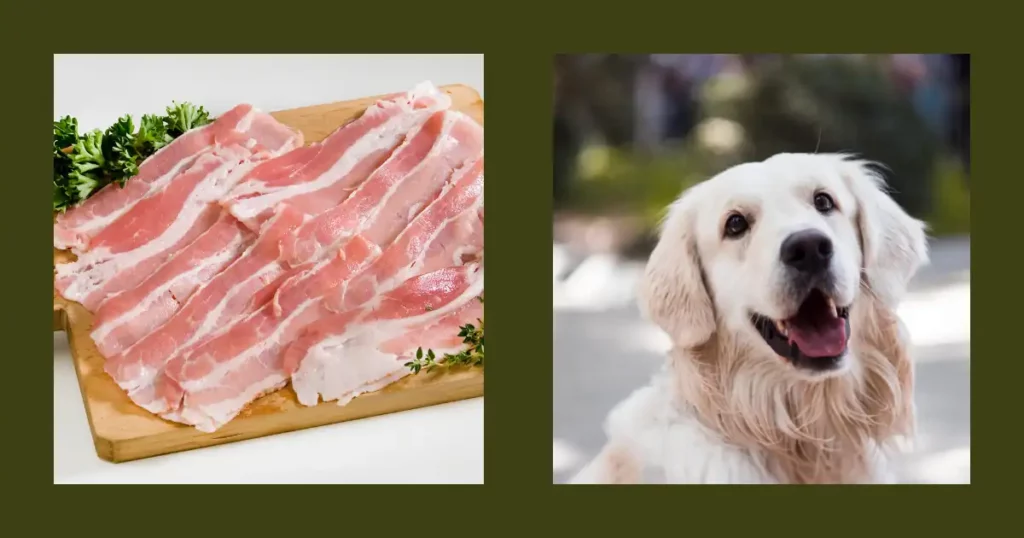 Can Dogs Eat Raw Bacon