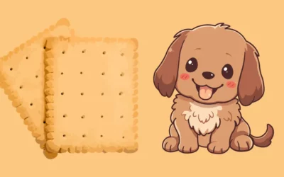 Can Dogs Have Graham Crackers? A Comprehensive Guide For 2024