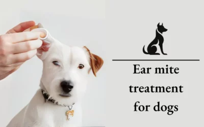 Ear Mite Treatment for Dogs: A Comprehensive Guide For 2024