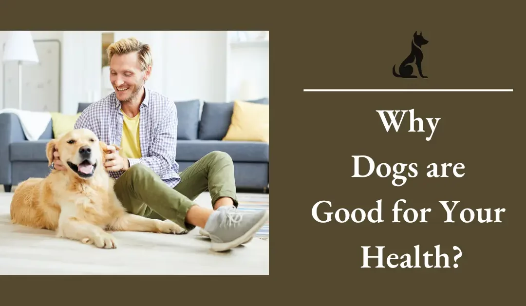 Why Dogs are Good for Your Health